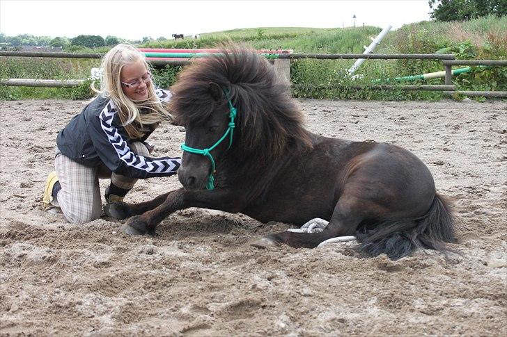 Miniature Blobber - Tricks: Ligge ned. det er langt fra fuldendt men vi er rigtig godt på vej :D<3 billede 18