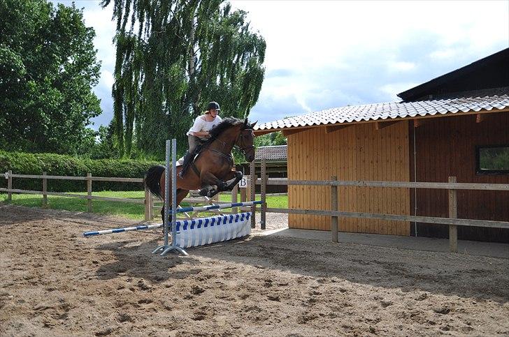 Holstener Wajes Capice (Følle) - Springtræning hjemme d. 24.06.11 billede 12
