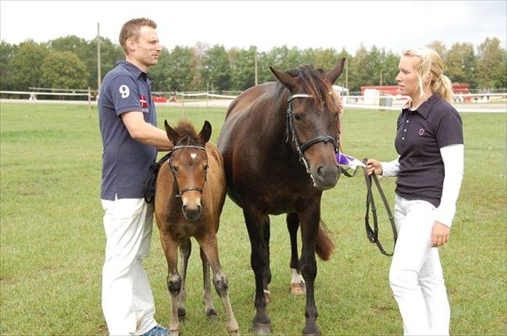 New Forest Soldals Africa - Africa bedste føl Og Mor Chelsea bedste følhoppe:-) billede 10