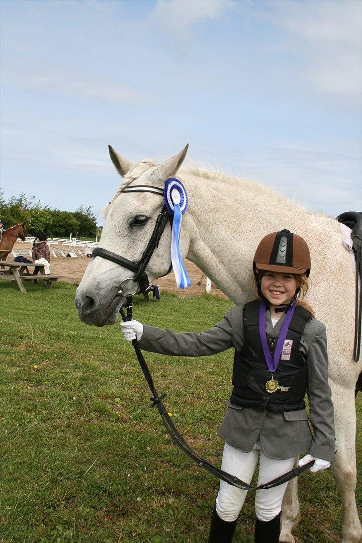 Anden særlig race Iba ( rideskole hest) (R.I.P) billede 17