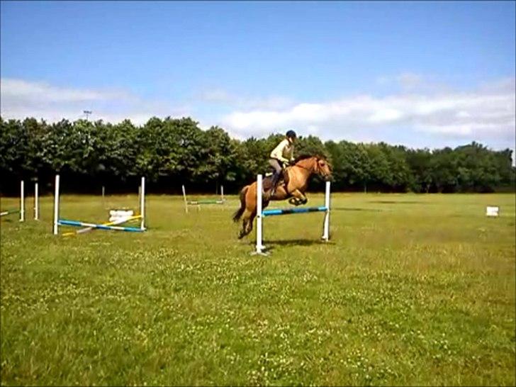 Anden særlig race Brie Marteyna - springer 110 på Min engel :* 
24/6 billede 16