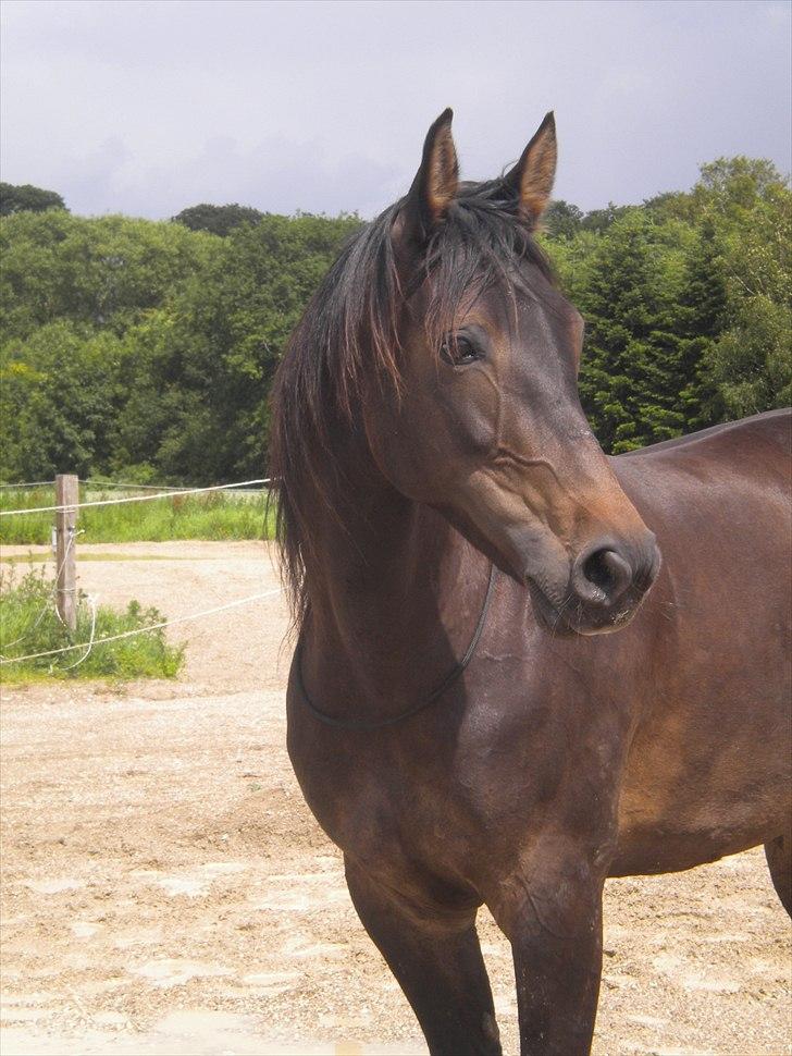 Traver Moenia Du Nj´or *Tøzzen* - Velkommen til Moenia´s profil :) billede 1