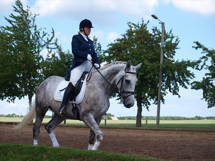 Dansk Varmblod dream star  - klarede det flot, til hendes første stævne :) selvom at hun var meget anspændt :) billede 19