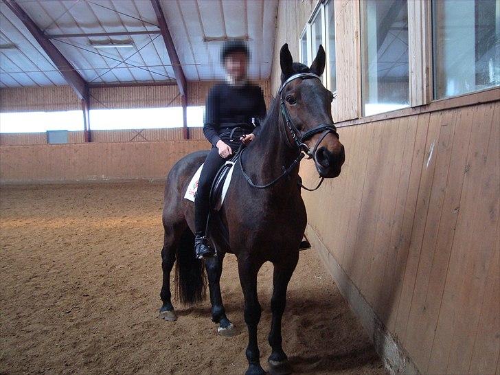 Anden særlig race Dalby's Lotte - Velkommen til min profil :-)) billede 1