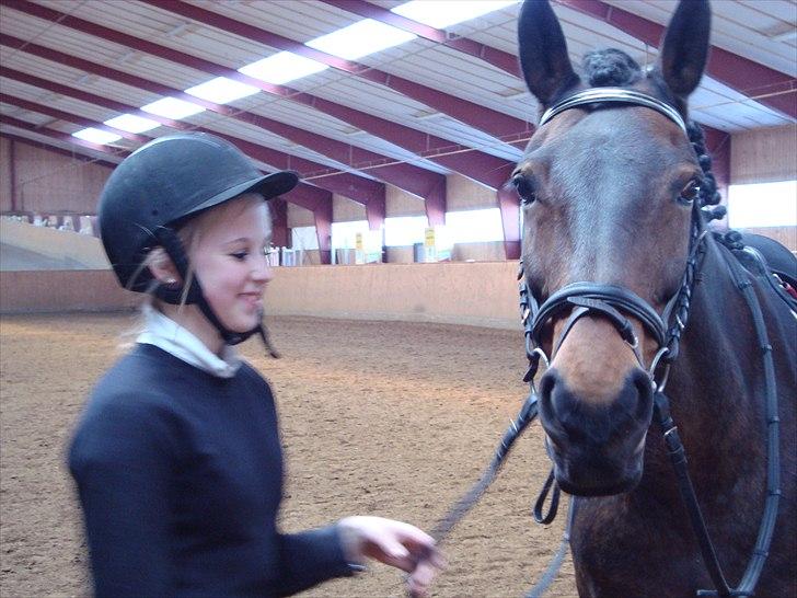 Anden særlig race Dalby's Lotte billede 3