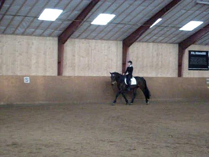 Anden særlig race Dalby's Lotte billede 5