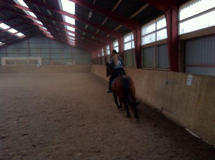 Dansk Varmblod Athena <3 Himmelhest :,( billede 8