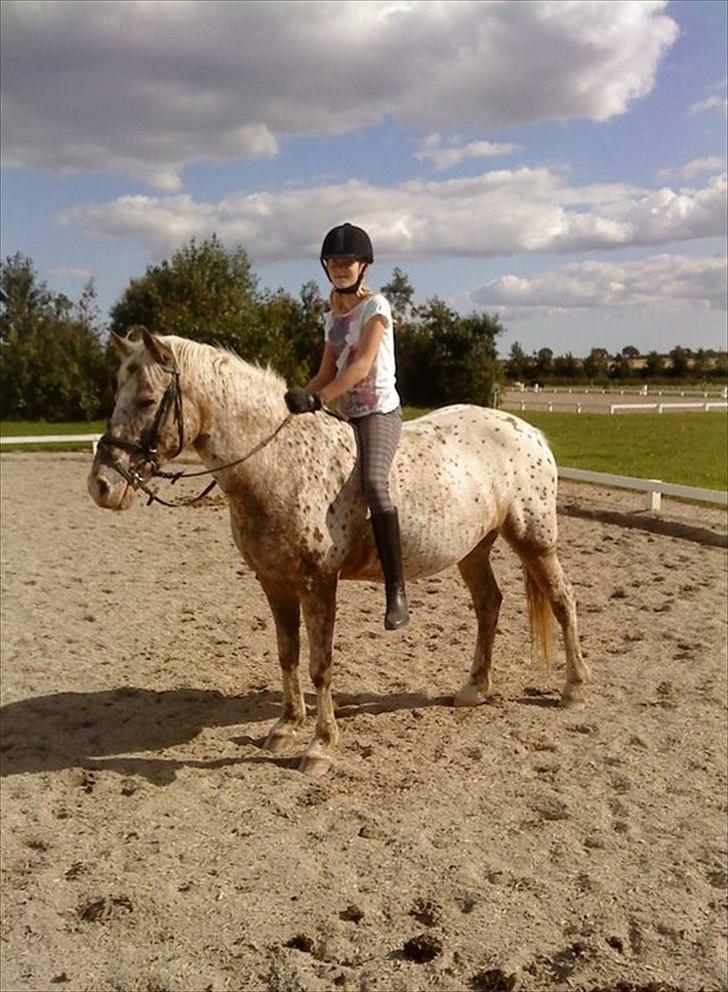 Anden særlig race Ofelia | Min evige optur.<3 | - Ofelia og mig, sommer 2010 - Foto: Mor. billede 4