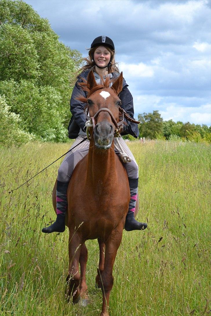 Frederiksborg Nova Jøle - 25 Juni 2011 - 2 års dag :) #Foto - GS billede 11