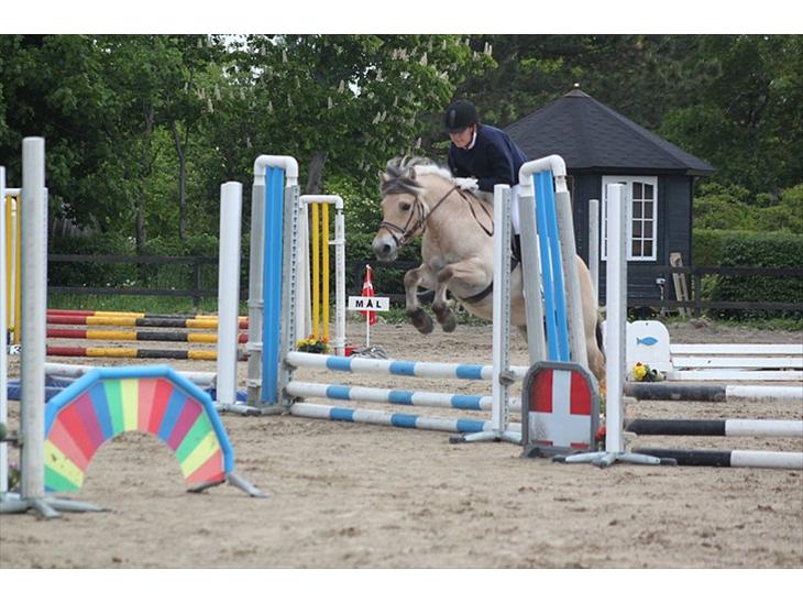 {{currentPhoto.altText}} billede {{currentPhoto.number}}