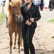 Islænder Prúð F. langtved