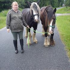 Tinker Michele (Mulle)