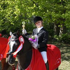 Welsh Pony af Cob-type (sec C) BRONZE MEDALJE VINDER DM 2011