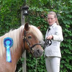 Shetlænder HRE Janelle RES Senior CHAMP.