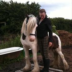 Tinker Disney - min bedste ven [Solgt]