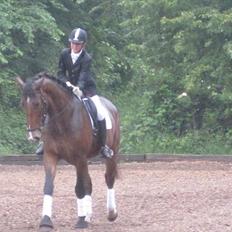 Oldenborg Miro Manifique;) Guldklumpen<3 "solgt";´(