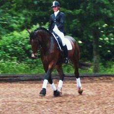 Oldenborg Miro Manifique;) Guldklumpen<3 "solgt";´(
