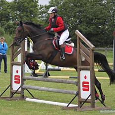 Anden særlig race Chiquita *Bananen*