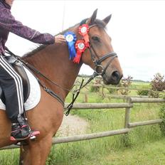 Anden særlig race Anton