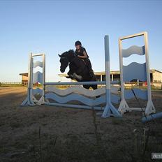 Anden særlig race Cirkeline *Tricks ponyen*