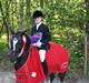 Welsh Pony af Cob-type (sec C) BRONZE MEDALJE VINDER DM 2011