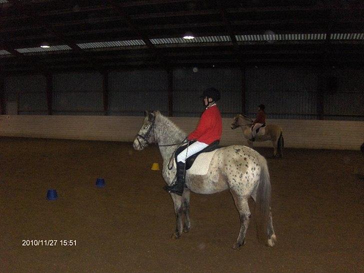 Anden særlig race Ofelia | Min evige optur.<3 | - Ofelia og mig til juleopvisning 2010 - Foto: Mor. billede 7