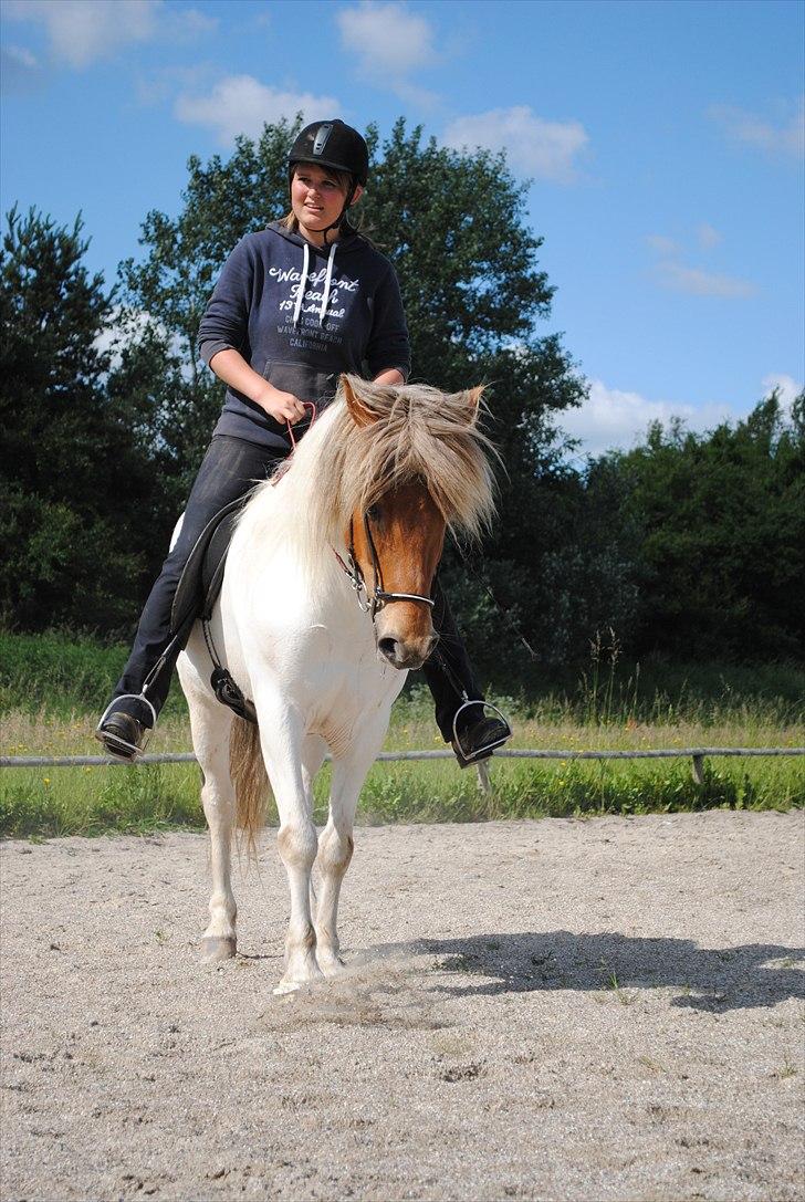 Islænder Verðandi frá Baldurshaga - Smukke, smukke hest. Vede og jeg (: Juni 2011 - Foto:Noddy billede 5