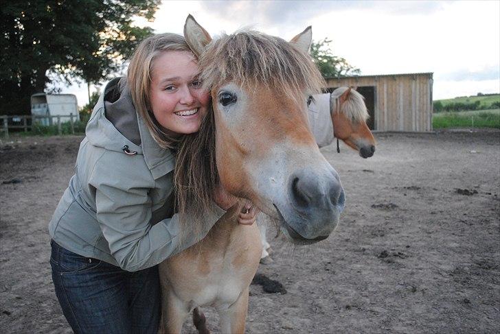 Islænder Fála fra Kirkeskovgård - Min lille tulle <3 Jeg elsker, elsker, elsker, elsker dig, Faul<3 Juni 2011 - Foto:Noddy billede 14