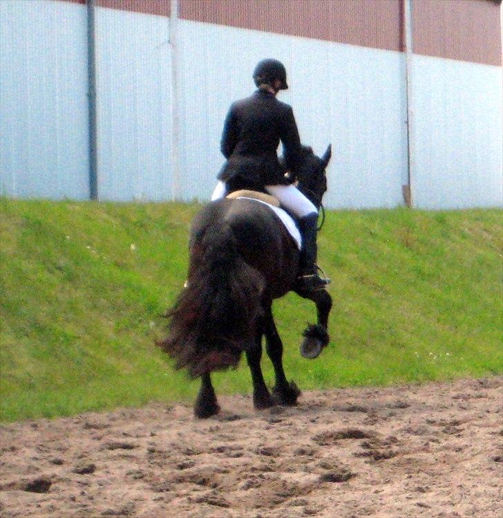 Frieser Douwe Van De Wedze billede 15