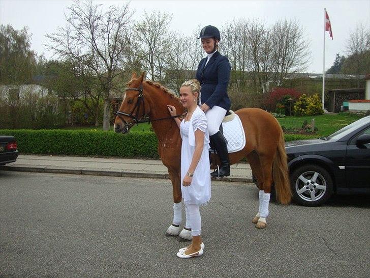 Appaloosa Zamira B-PONY<3 R.I.P - Elsker dig! <3 billede 8