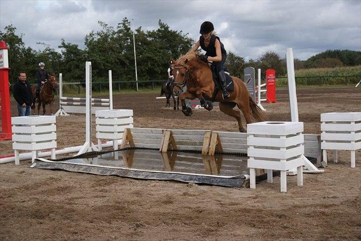 Appaloosa Zamira B-PONY<3 R.I.P - :p billede 11