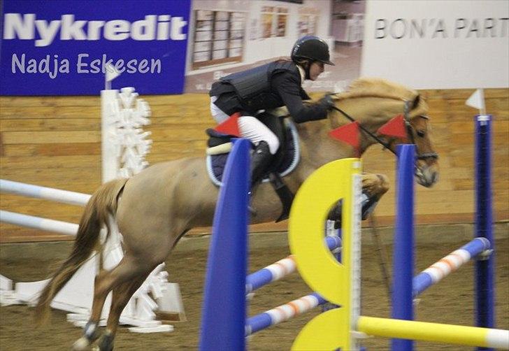 Appaloosa Zamira B-PONY<3 R.I.P - Zamira i Ikast xD billede 12