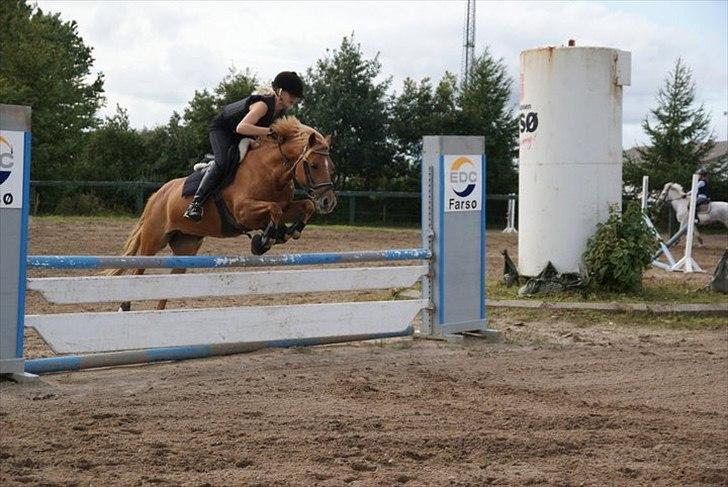 Appaloosa Zamira B-PONY<3 R.I.P - :p billede 14