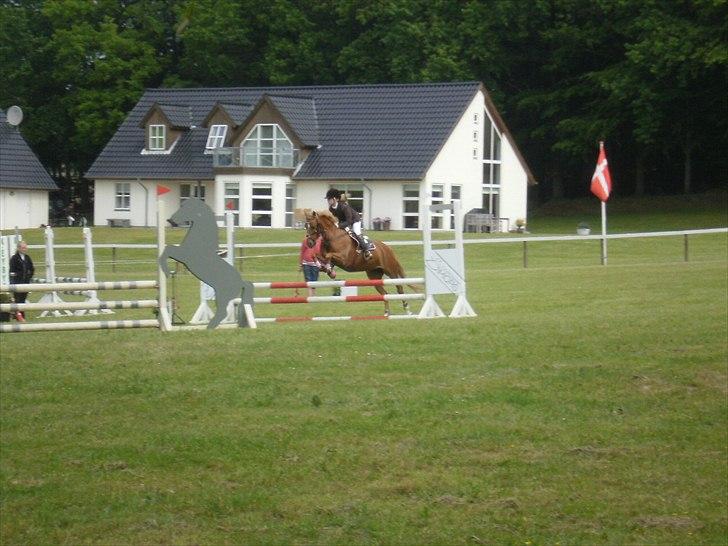 Appaloosa Zamira B-PONY<3 R.I.P billede 15