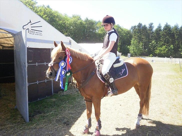 Appaloosa Zamira B-PONY<3 R.I.P - Seje Louise og Zamira! <3 billede 17