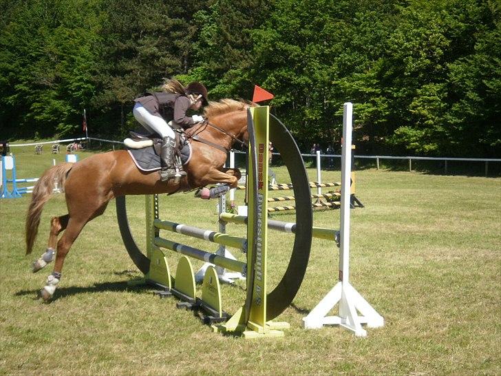 Appaloosa Zamira B-PONY<3 R.I.P - Zamira og Louise på Morsø :D billede 18