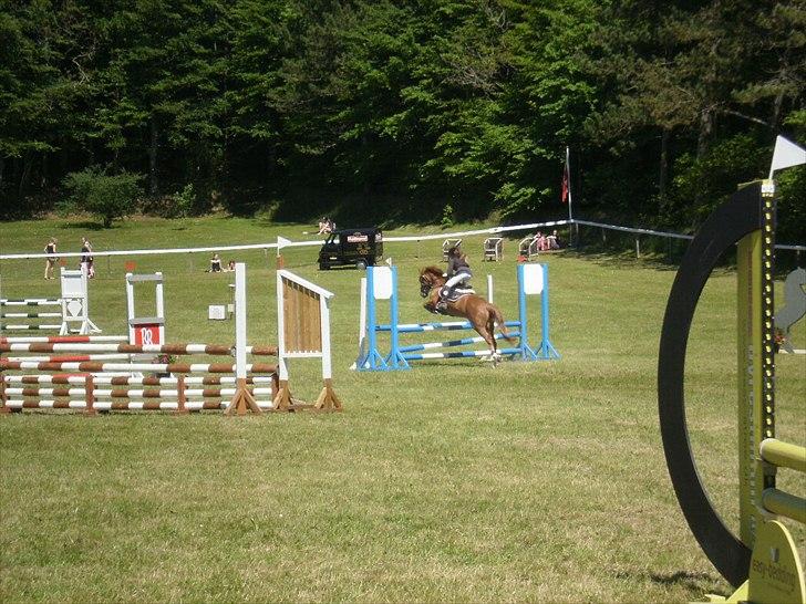 Appaloosa Zamira B-PONY<3 R.I.P - Zamira og Louise på Morsø :) billede 19