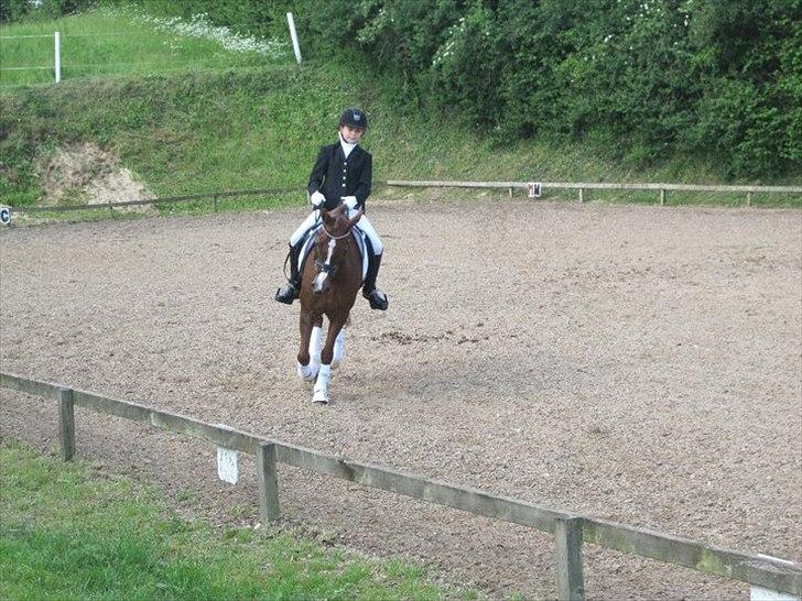 Tysk Sportspony princess - mit første stævne på min smukkeste pony   billede 7