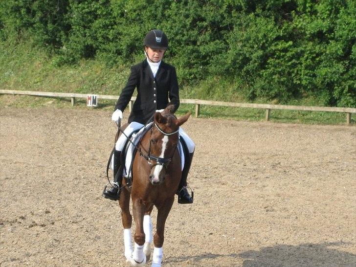 Tysk Sportspony princess - prøv lige trække hånden ind til dig sofie hehe <3 billede 8