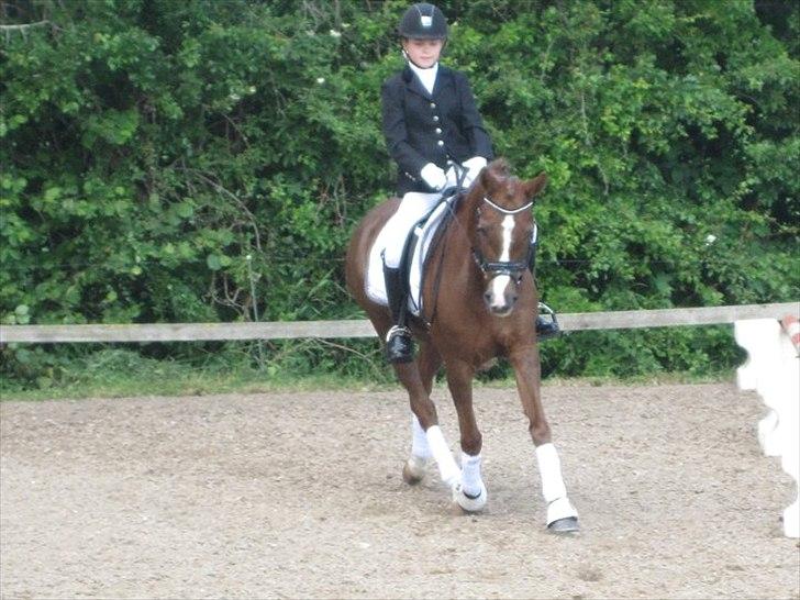Tysk Sportspony princess - du er bare så god princess<3 billede 9