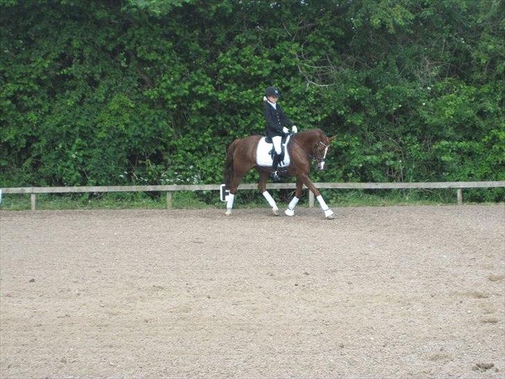 Tysk Sportspony princess - du er bare den bedste i hele verden<3 billede 10