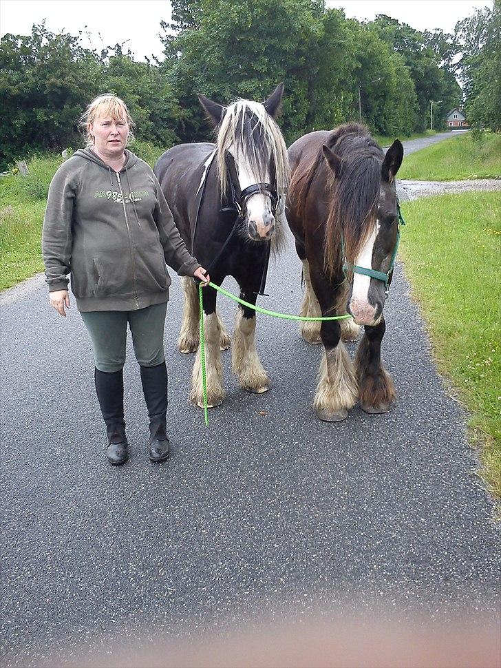 Tinker Michele (Mulle) billede 2