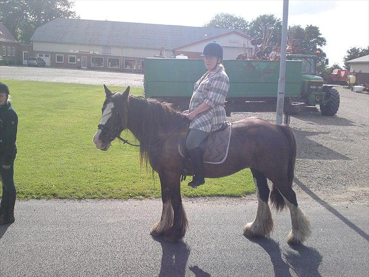 Tinker Michele (Mulle) billede 6