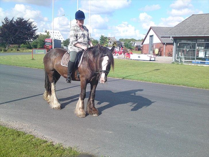 Tinker Michele (Mulle) billede 7