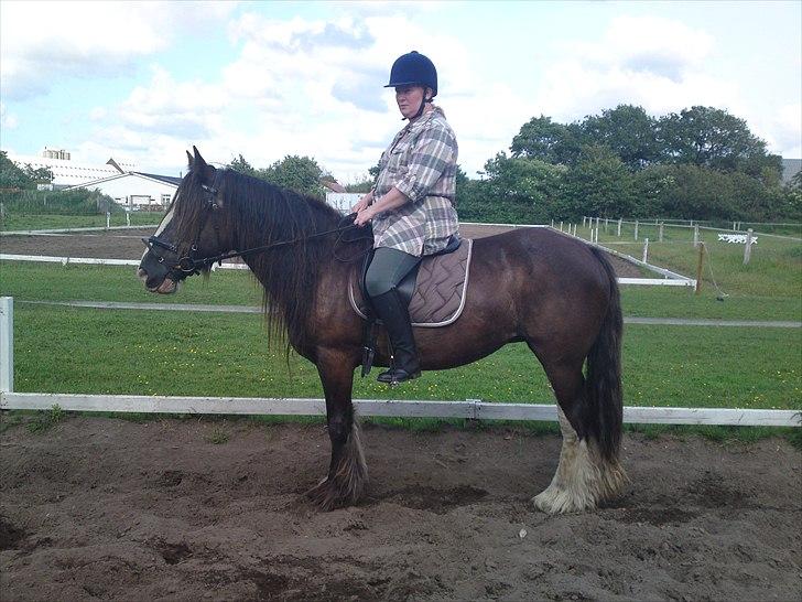 Tinker Michele (Mulle) billede 8