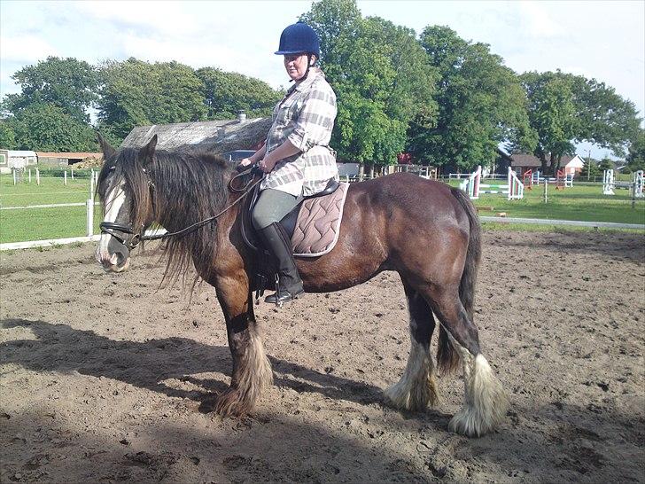 Tinker Michele (Mulle) billede 9