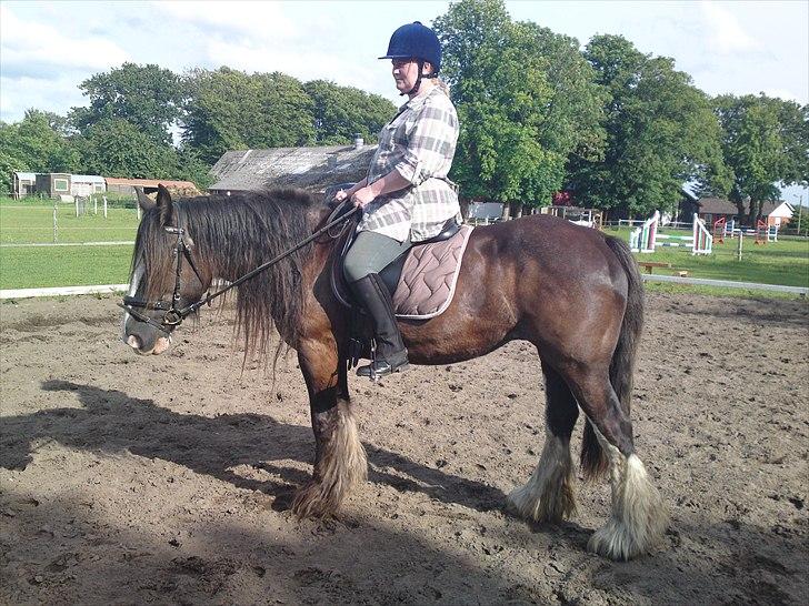 Tinker Michele (Mulle) billede 10