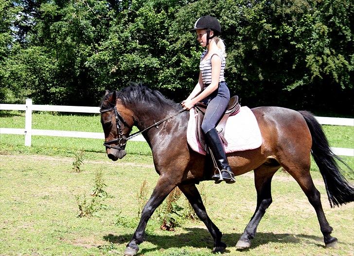 Anden særlig race Vestergaardens Malou billede 14