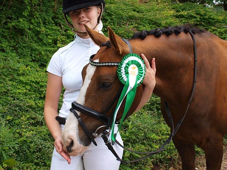 Tysk Sportspony Artos (fedtmulen) B-pony - Du er og forbliver den mest fantastiske pony jeg kunne ønske mig!<3 3.plads i LA6 med 65,3% ! smukke stjernepony :') !<3 Foto: Far billede 18