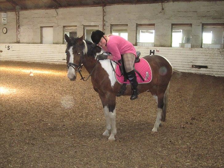 Anden særlig race Johana - Heii<3 elsker den ponze billede 7